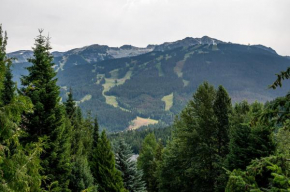 Beautiful 3 Bedroom 2 bedroom plus den Whistler Retreat with Spectacular Mountain Views